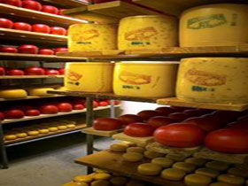 Alexandrina Cheese Company - Mackay Tourism 0