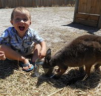 Animal Farm Goolwa - Mackay Tourism