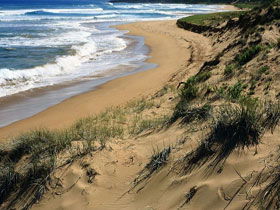  Mackay Tourism