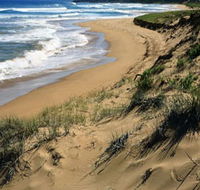 Newland Head Conservation Park - Mackay Tourism