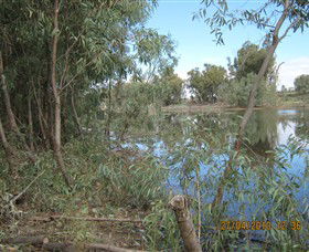 Thegoa Lagoon And Reserve - Mackay Tourism 1