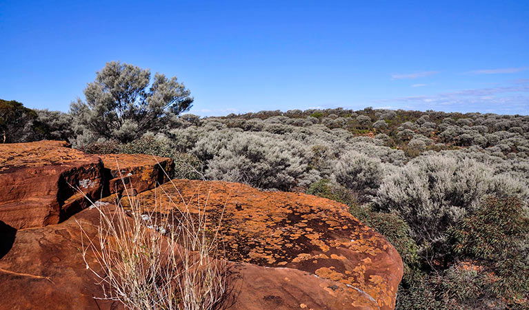 Kulwin NSW Mackay Tourism
