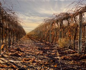 Andrew Peace Wines - Mackay Tourism 2