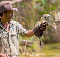 Territory Wildlife Park - Mackay Tourism