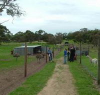 Avenue Emus - Mackay Tourism