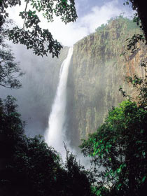 Wallaman Falls, Girringun National Park - Mackay Tourism 1
