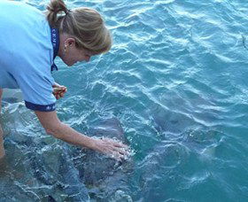 Aquascene - Mackay Tourism 2