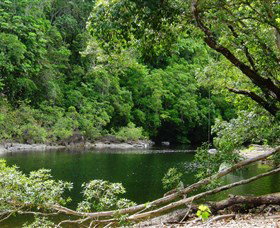 Broadwater, Abergowrie State Forest - Mackay Tourism 0