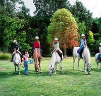Limestone Coast Horseriding