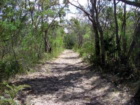 Lanky's Walk - Mackay Tourism 0