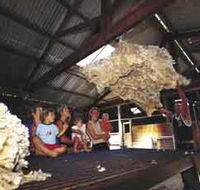 Shear Outback the Australian Shearers Hall of Fame - Mackay Tourism