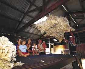 Shear Outback The Australian Shearers Hall Of Fame - Mackay Tourism 0