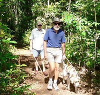 Wongabel State Forest - Mackay Tourism