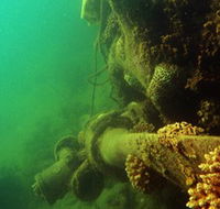 Wreck Diving at Magnetic Island - Mackay Tourism