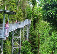 Mamu Tropical Skywalk - Mackay Tourism