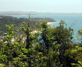 Clump Mountain National Park - Mackay Tourism 1