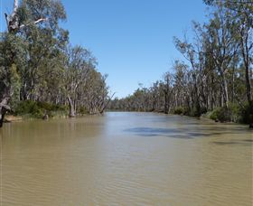 Wetlander Cruises - Mackay Tourism 3
