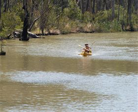 Wetlander Cruises - Mackay Tourism 5
