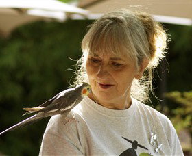 Gredgwin ACT Mackay Tourism