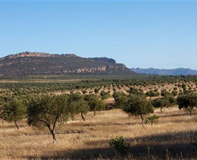 Grampians Olive Co. (Toscana Olives) - Mackay Tourism 1