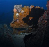 Lady Bowen Dive Site - Mackay Tourism