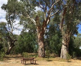 Bob Christensen Reserve - Mackay Tourism 2