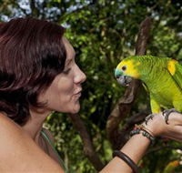Birdworld Kuranda - Mackay Tourism