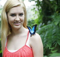 Australian Butterfly Sanctuary - Mackay Tourism