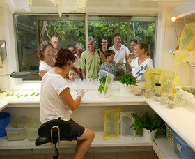 Australian Butterfly Sanctuary - Mackay Tourism 3