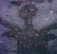 Quinkan Reserves Ancient Rock Art - Mackay Tourism
