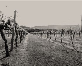 Mount Dryden VIC Mackay Tourism