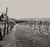 Halls Gap Estate - Mackay Tourism