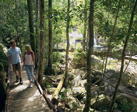 Eungella National Park - Mackay Tourism 2