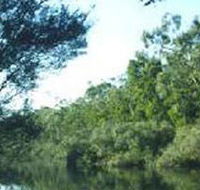 Crawford River Regional Park - Mackay Tourism
