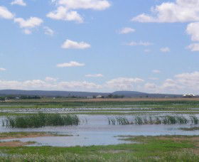 Fivebough Wetlands - Mackay Tourism 0