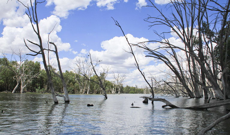 Bundure NSW Mackay Tourism