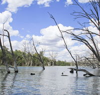 Murrumbidgee Valley National Park - Mackay Tourism