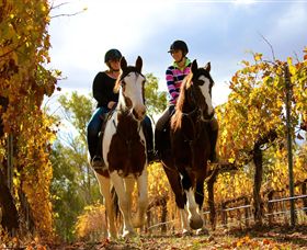 Billabong Ranch - Mackay Tourism 0