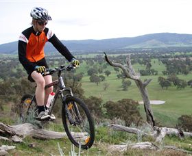 Wimmera Hills Winery - Mackay Tourism 2