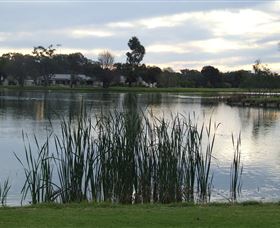 Luke Park - Mackay Tourism 2