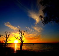 Lake Cowal - Mackay Tourism