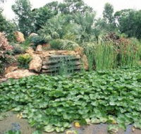 Mackenzie Park - Mackay Tourism