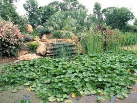 Mackenzie Park - Mackay Tourism 0