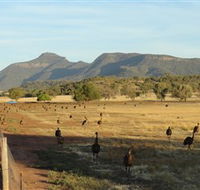 Emu Logic - Mackay Tourism
