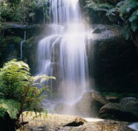 Mount Buangor State Park - Mackay Tourism