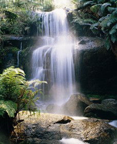 Mount Buangor State Park - Mackay Tourism 0