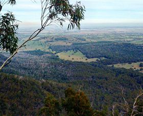 Mount Buangor State Park - Mackay Tourism 2