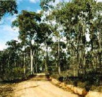 Paddys Ranges State Park - Mackay Tourism