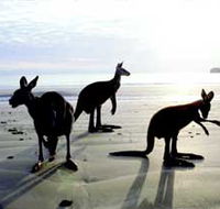 Hibiscus Coast - Mackay Tourism