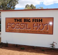 Big Fish Fossil Hut at Peak Hill - Mackay Tourism